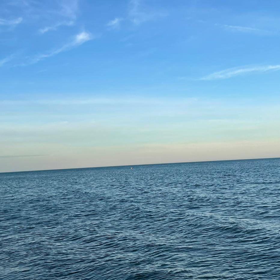 浪迹天涯