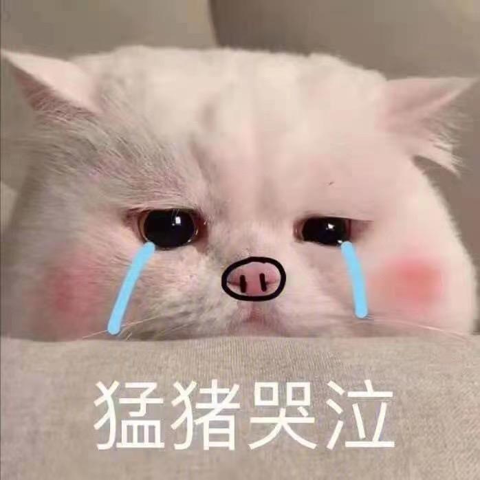 猛男铁柱