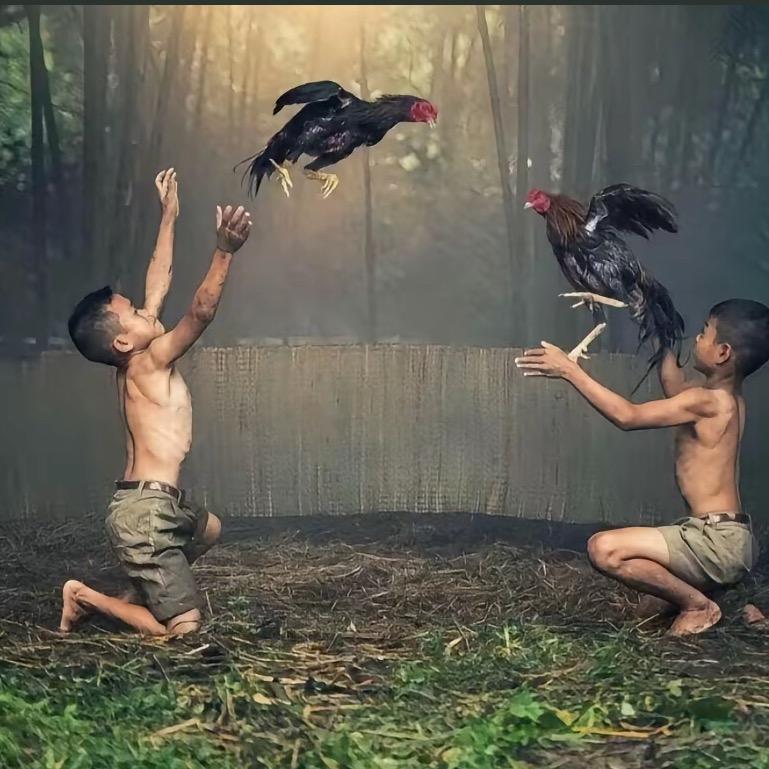 土皇帝