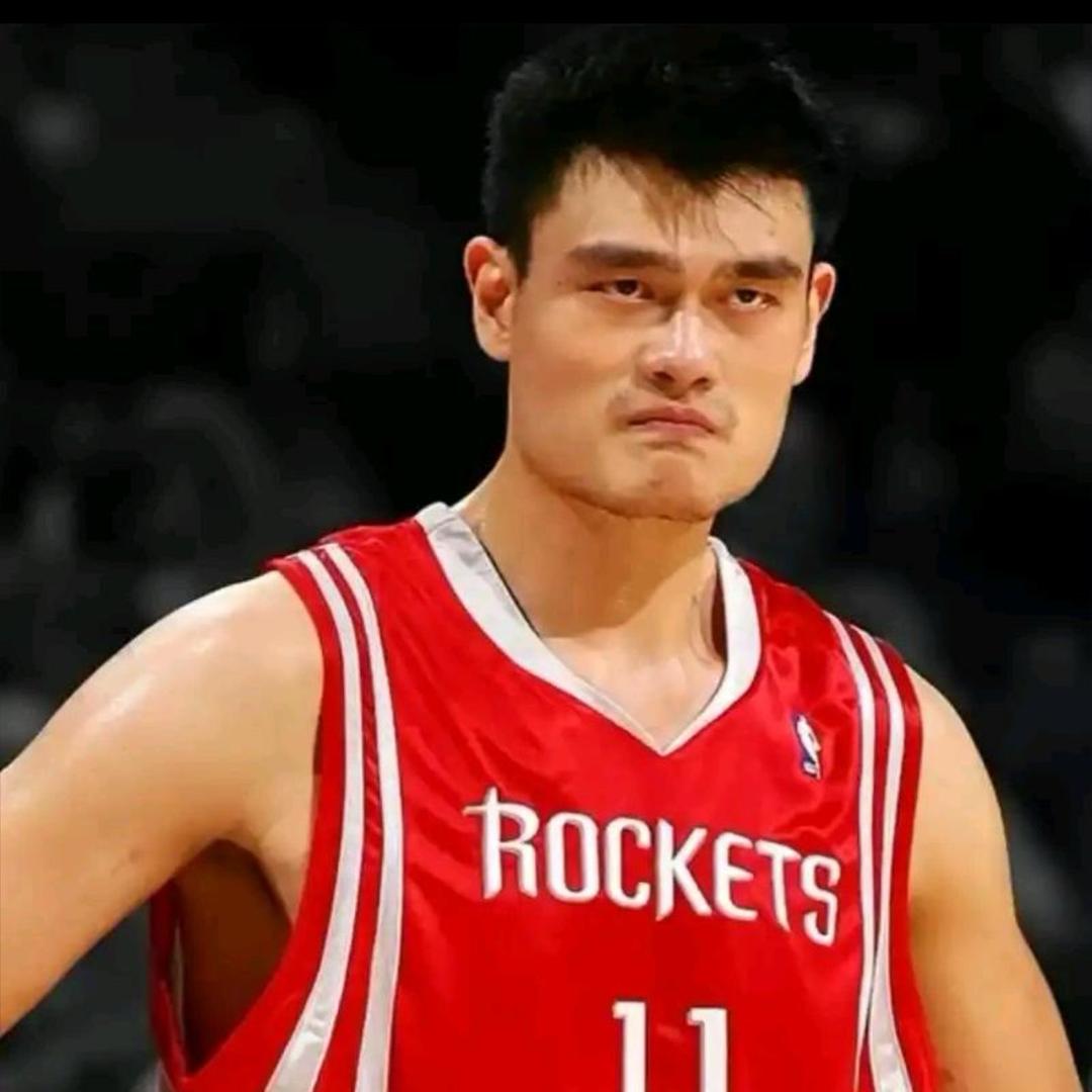 龙的传人
