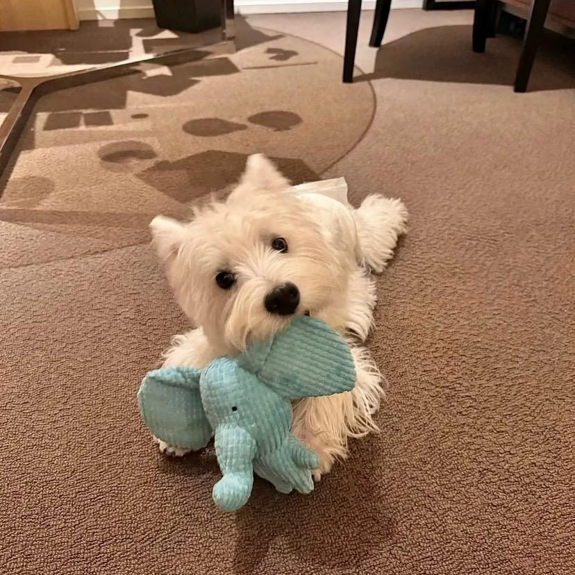 哄你睡觉好不好^