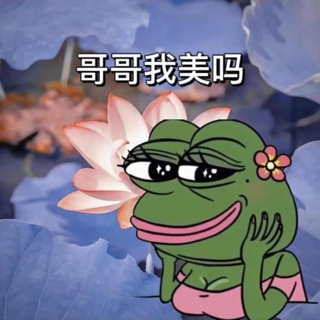 用户名12995311头像