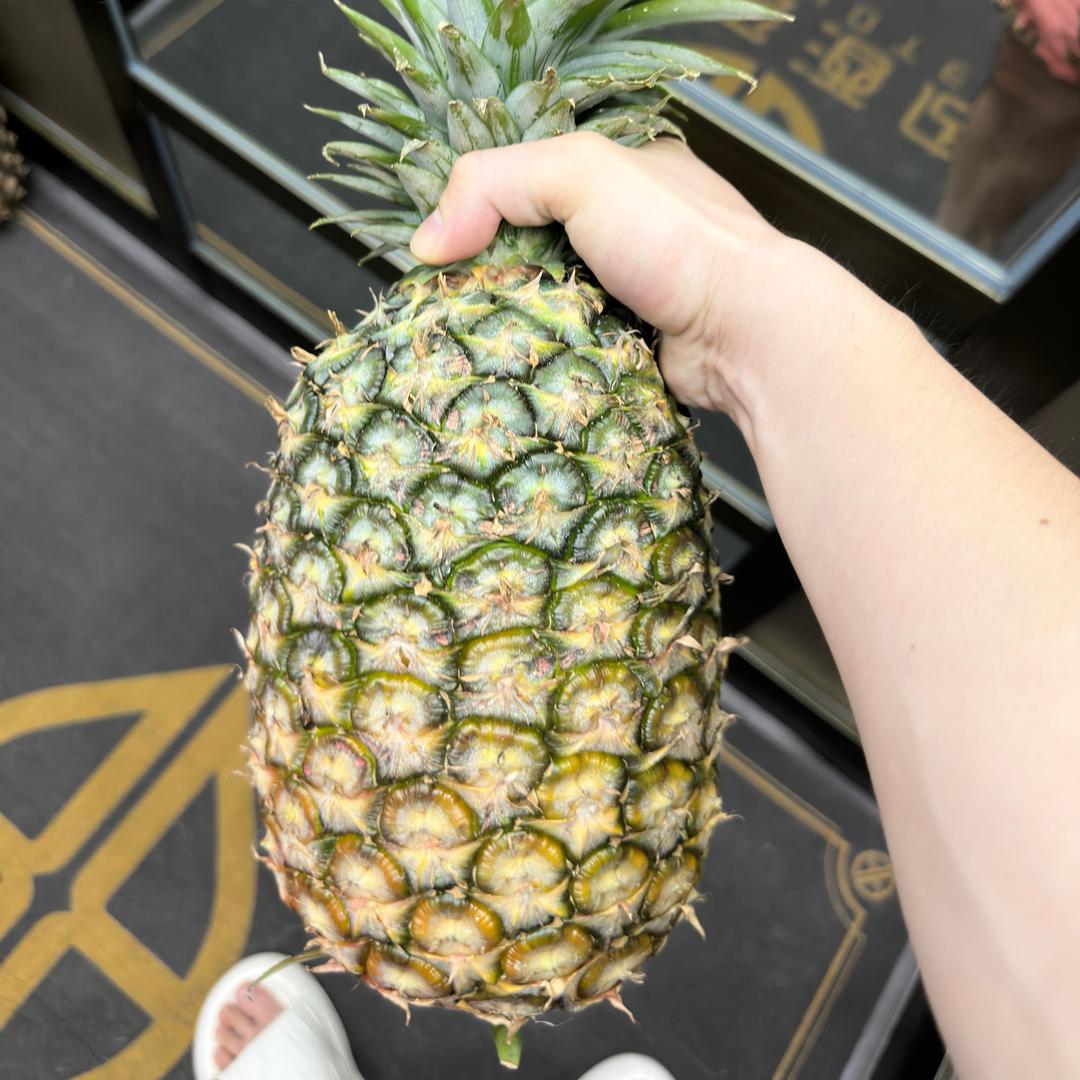 不吃咖喱的辣椒