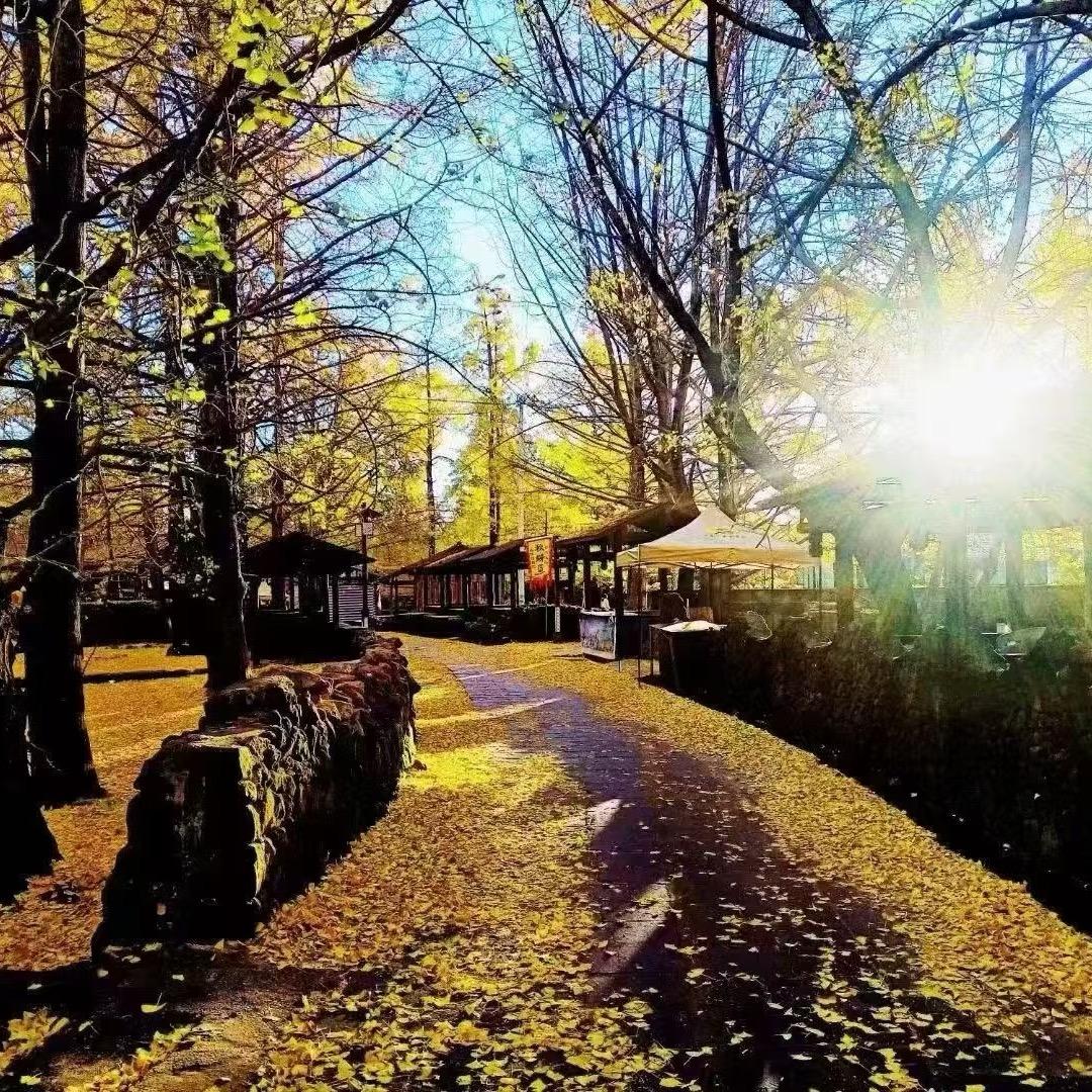 ᕙ(•̤᷆ ॒ ູ॒•̤᷇)ᕘ