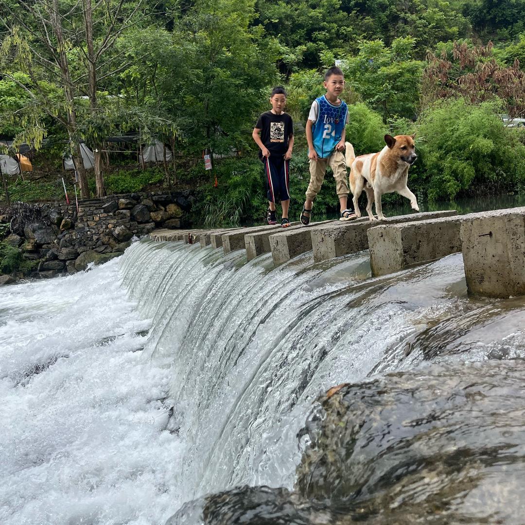 重庆龙溪露营基地