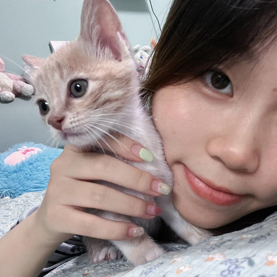 巴啦啦巴巴
