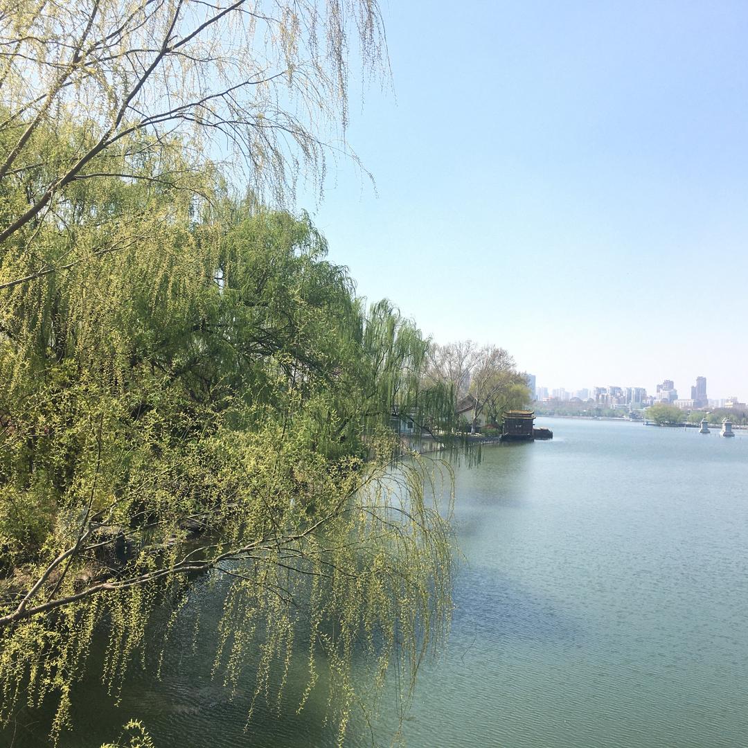 唯一，为你