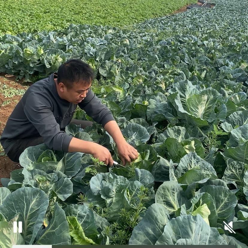 @农村下岗的90后