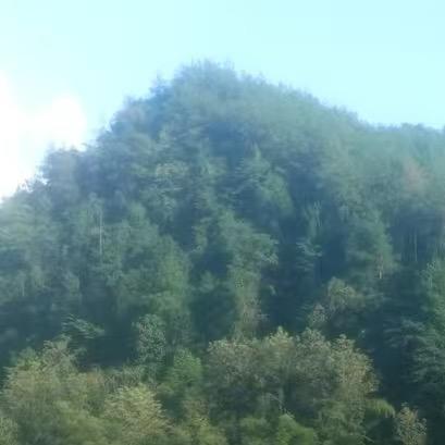 ^_^总有刁民想害朕^_^