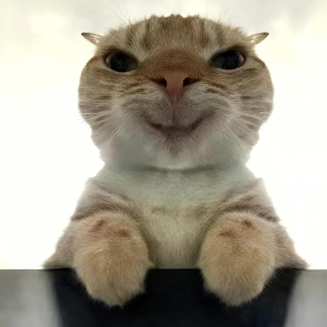 哈吉鼠（三角洲跑刀）