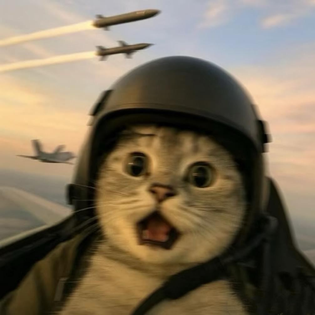 住比基尼海滩比奇堡贝克街125号的章鱼哥