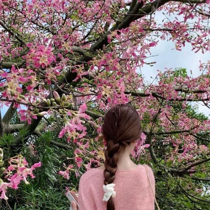 wen.小文