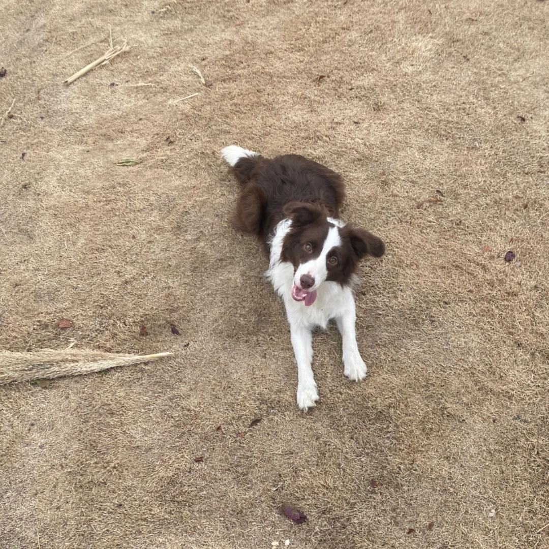 李记卤味（常年招收学员）