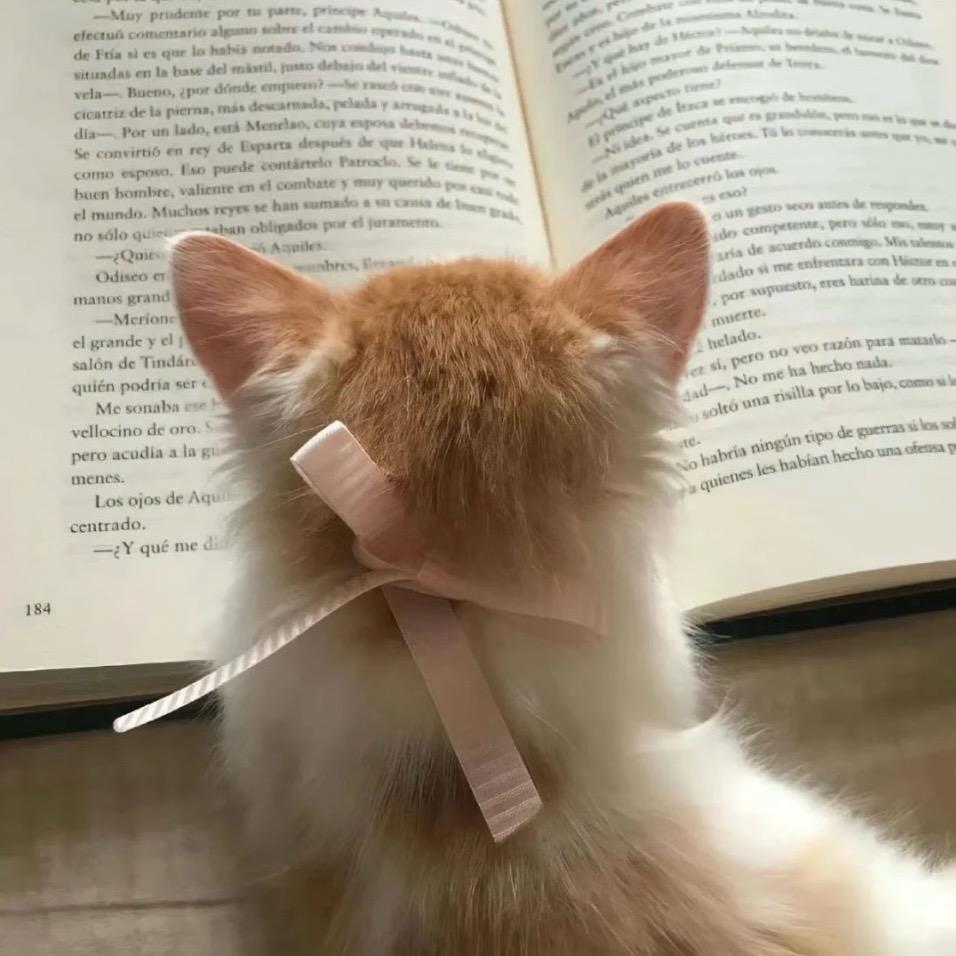 小兰不懒.ʚʕ̯•͡˔•̯᷅ʔɞ