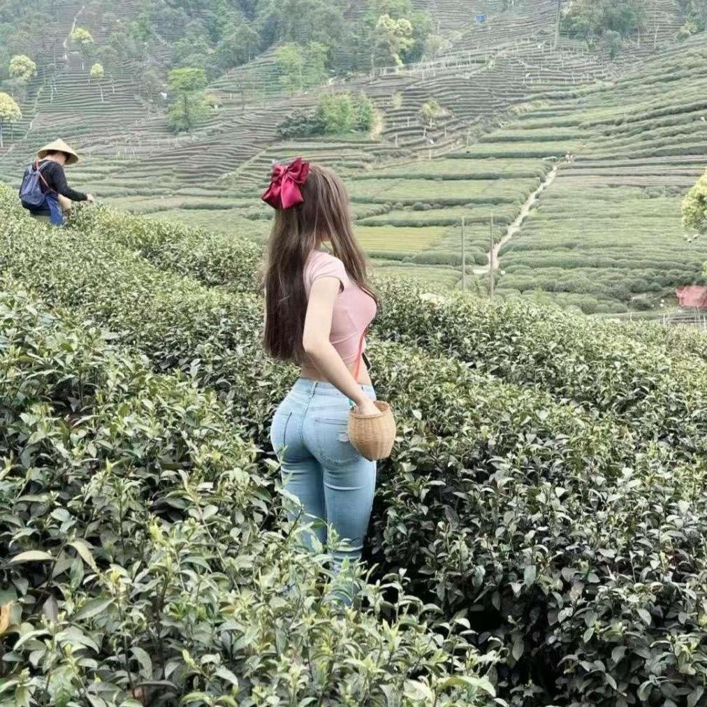 永恒网络工作室