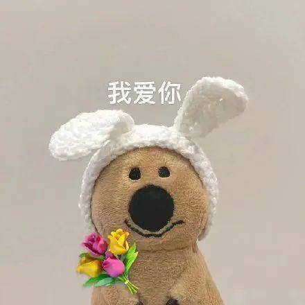 Miss.Li