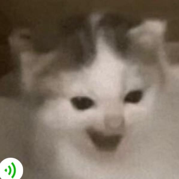 袁
