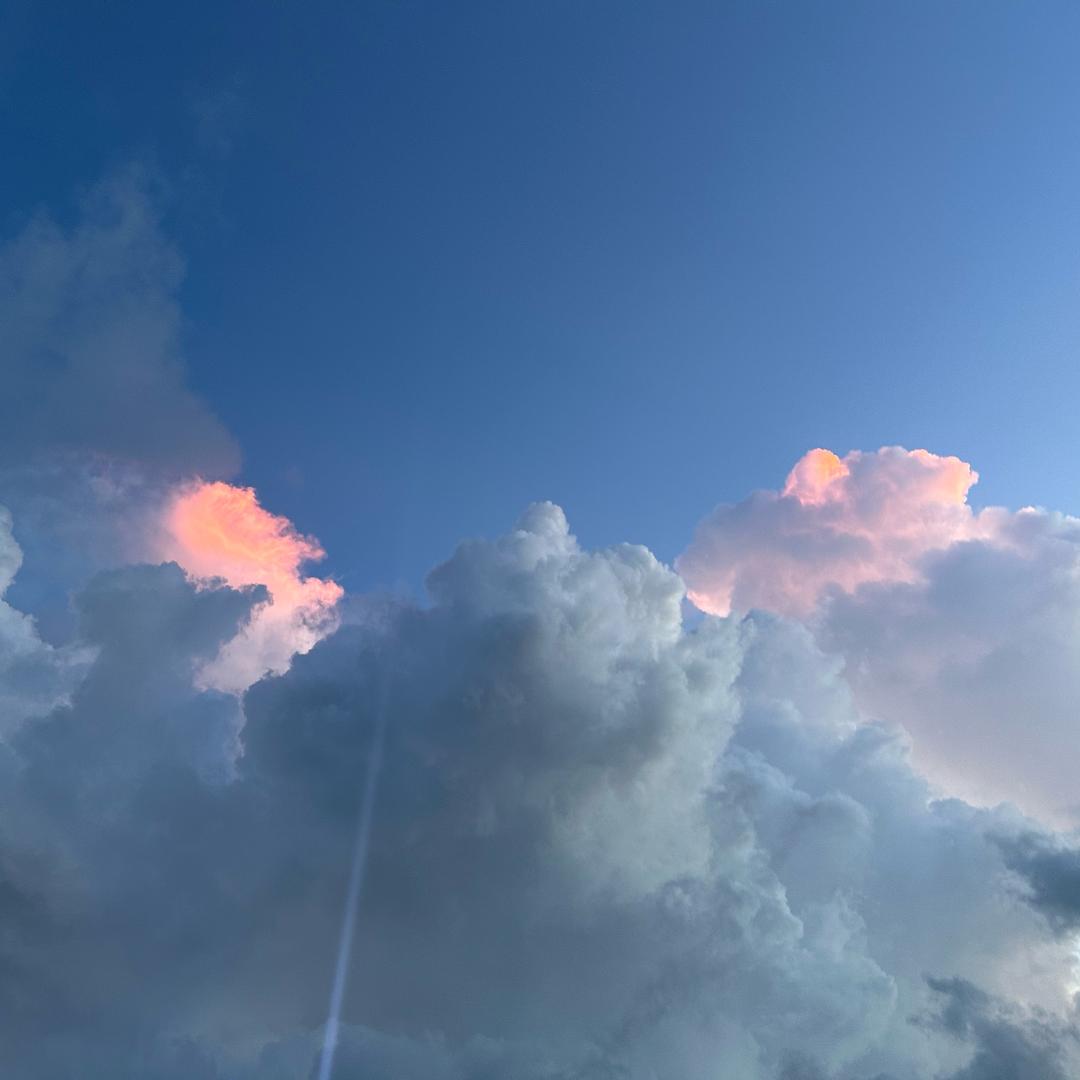 花开故事捌捌玖