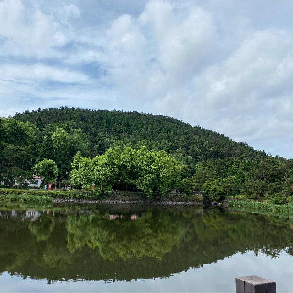 麻将高手