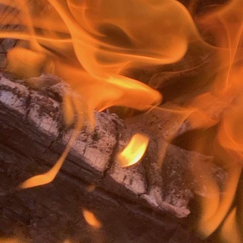 艾律师聊天｜咨询