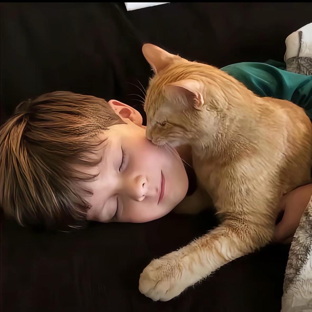 超级无敌超人强