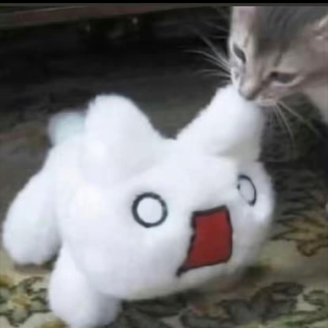 万马电缆(丰源街店)讽德诵功发生的稍等直播号