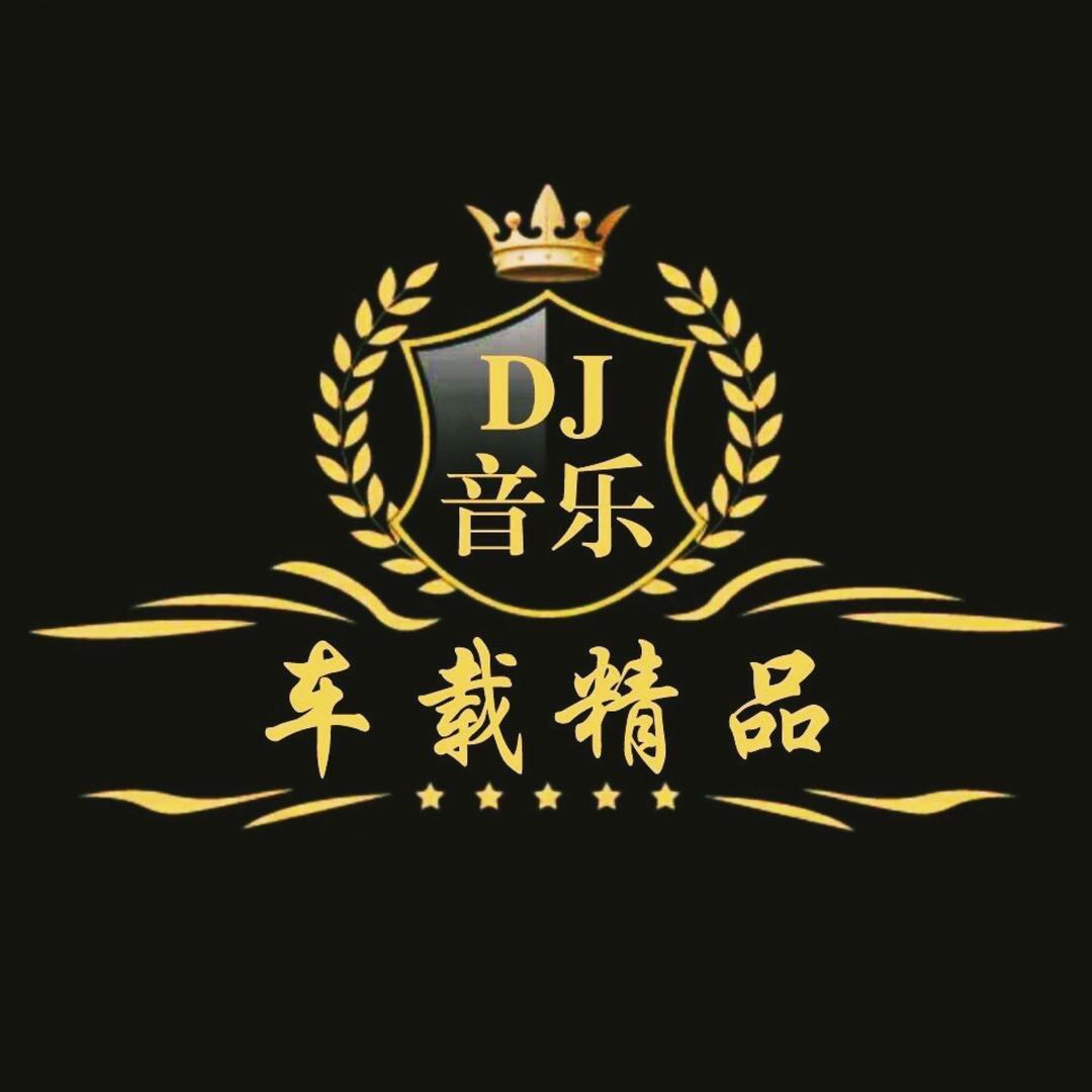 电子琴DJ（优盘在橱窗）