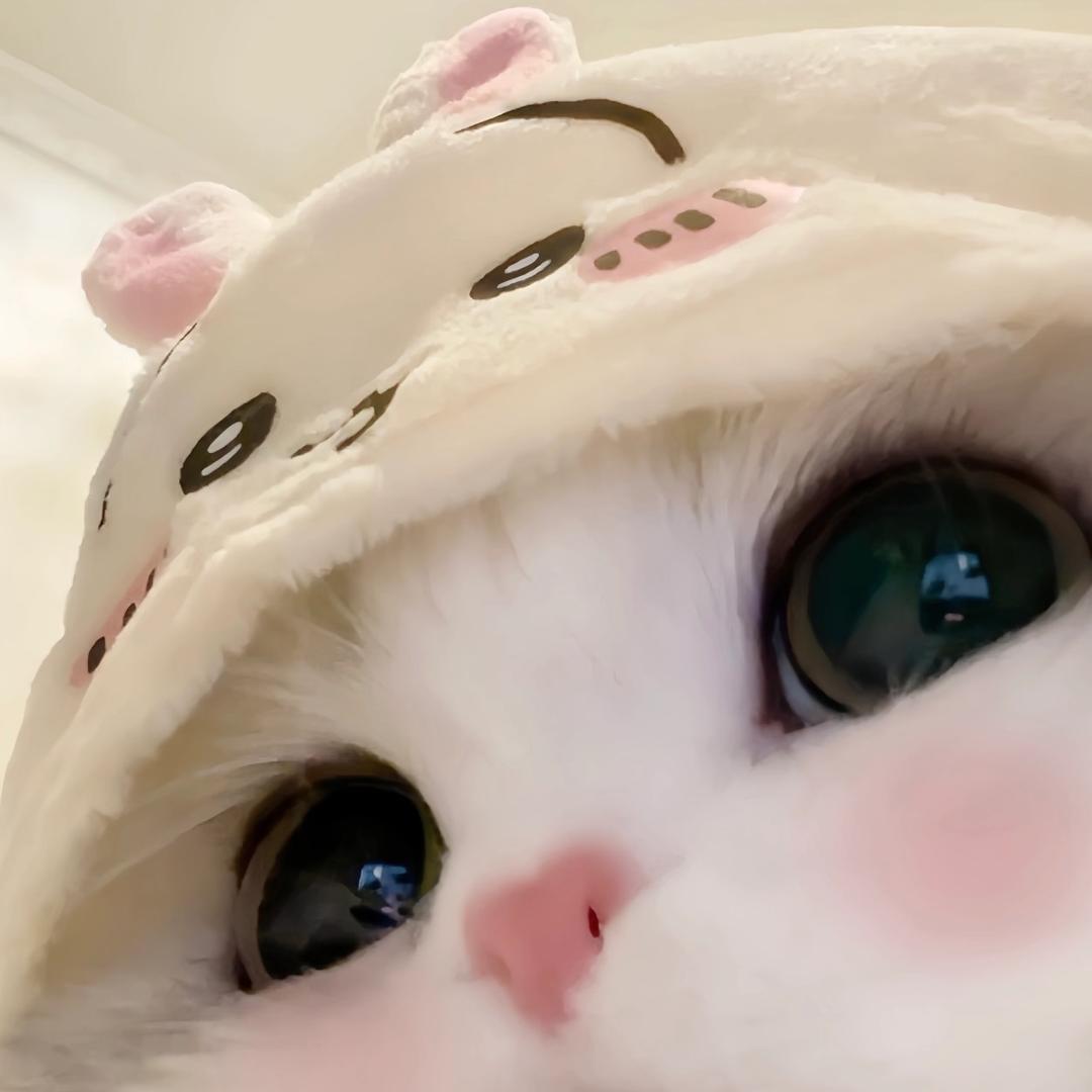 零呓