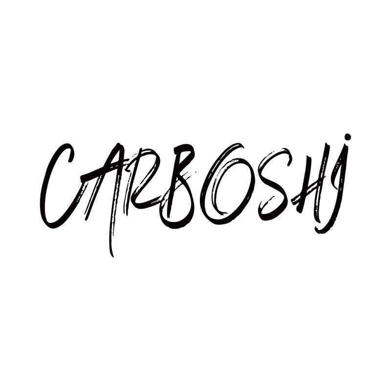 汽博士Carboshi