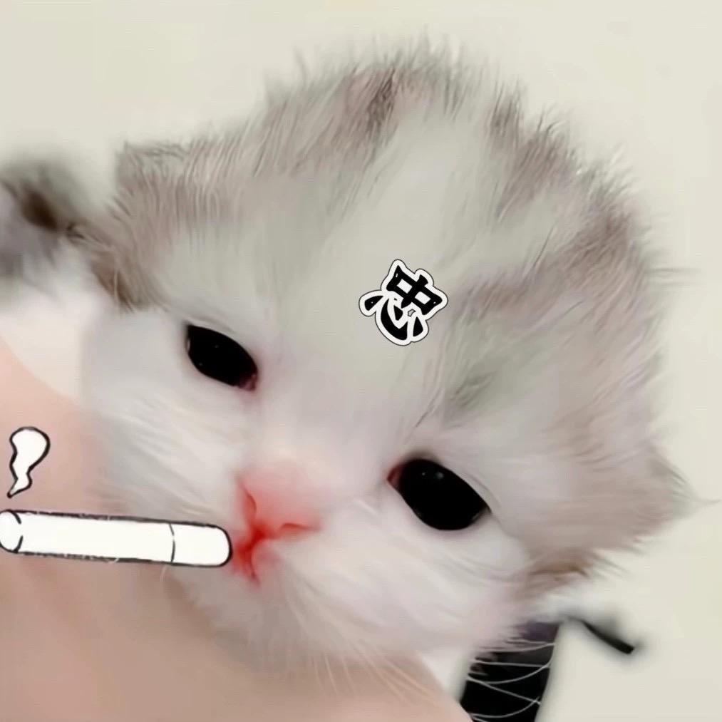 2哥