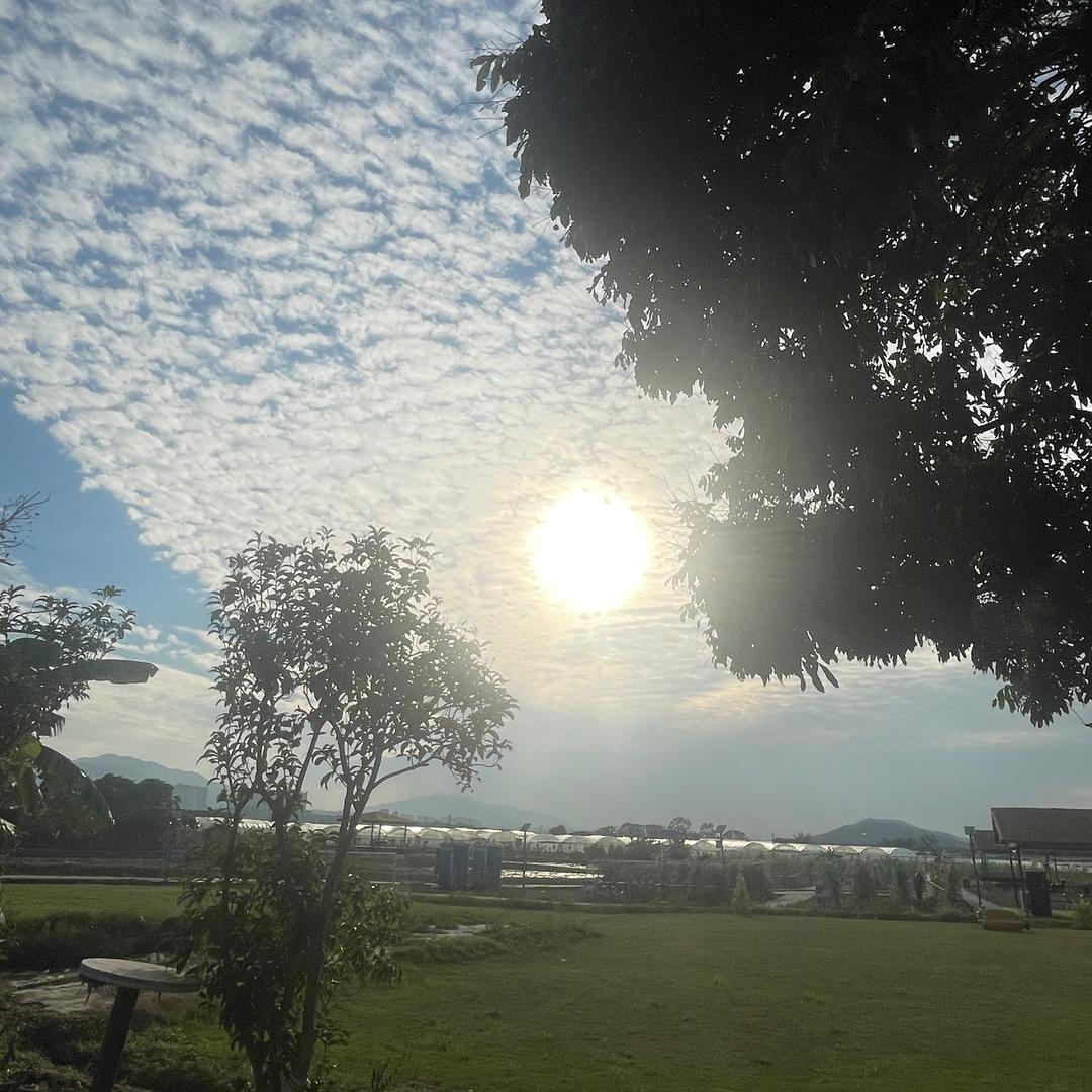 Hello你好