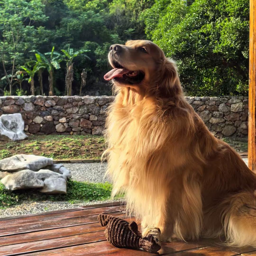 管家铁锤的一天