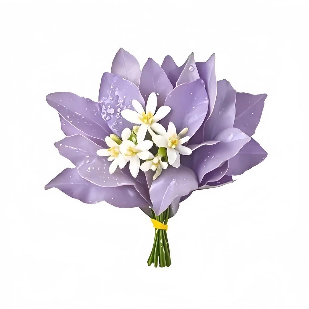 程程酱在努力（招生版）