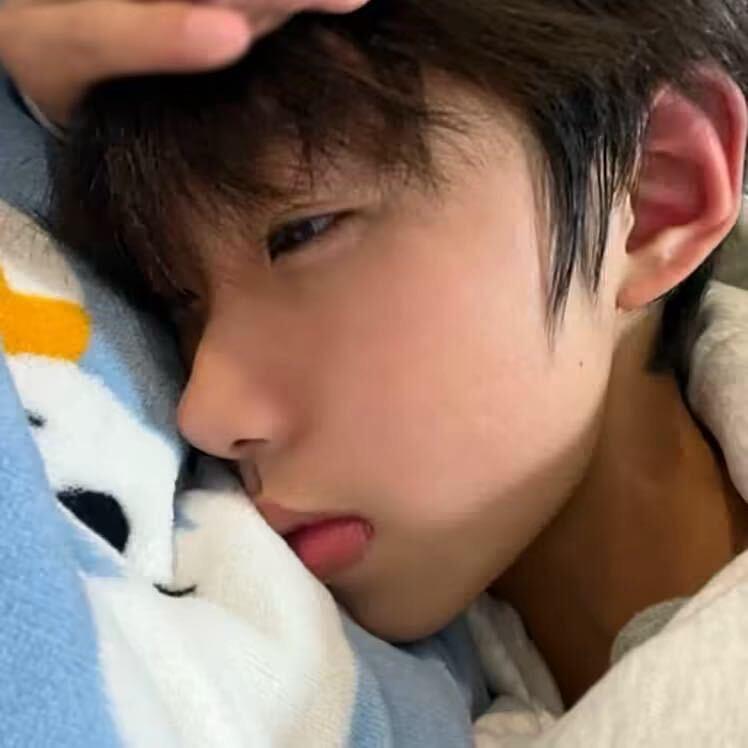 李知弛