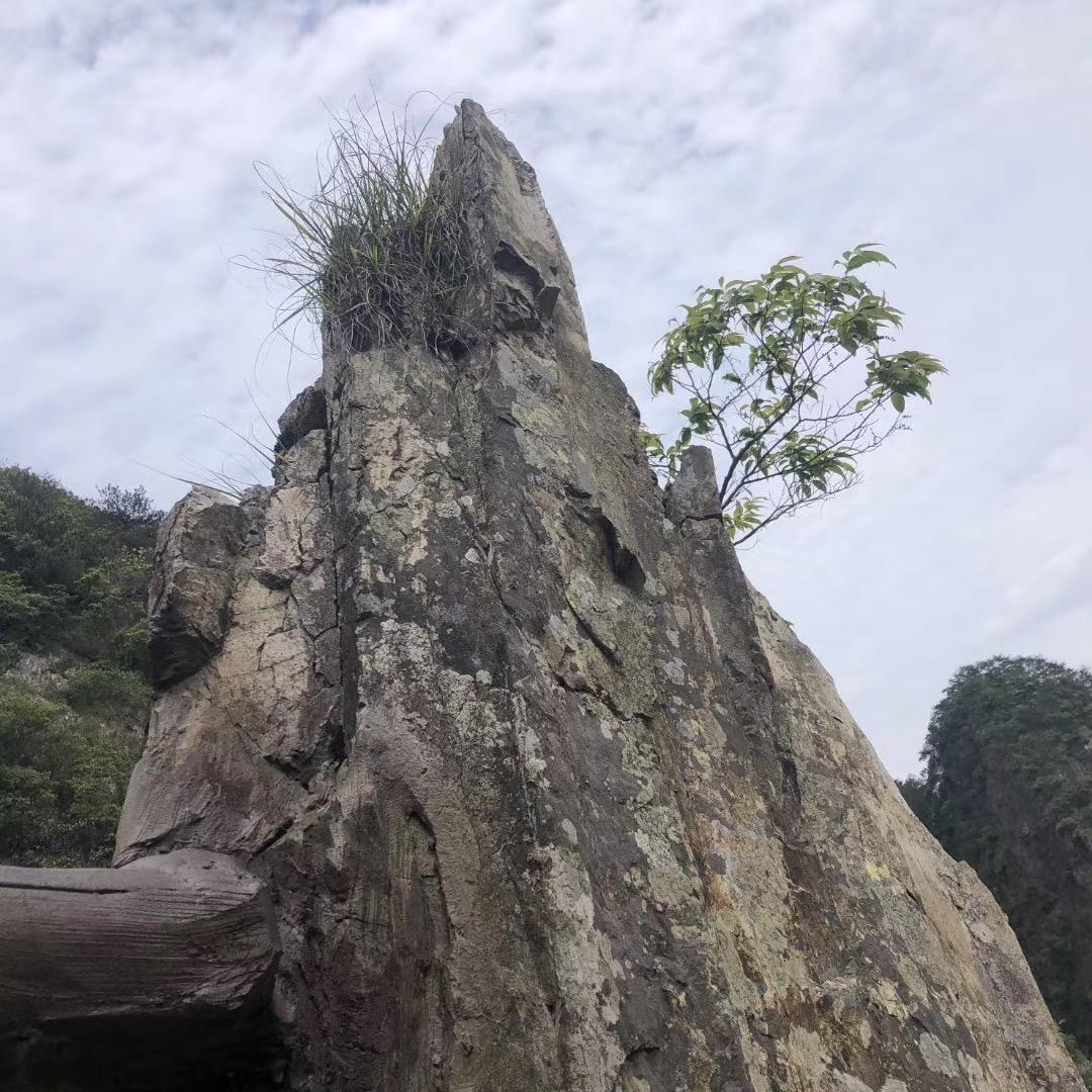生活美好