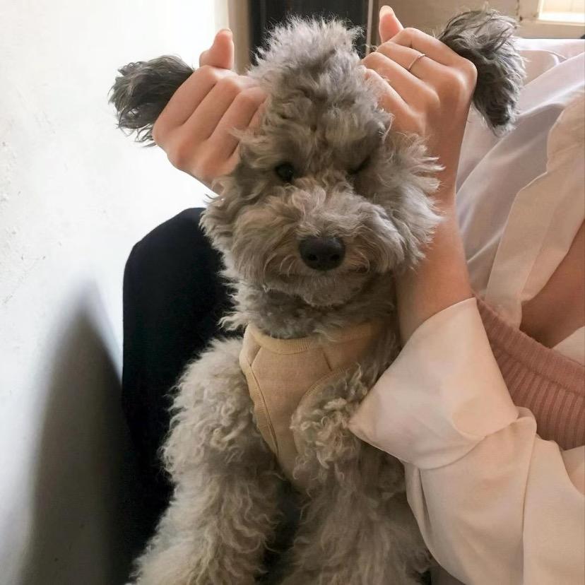 没事你想干什么我都陪你