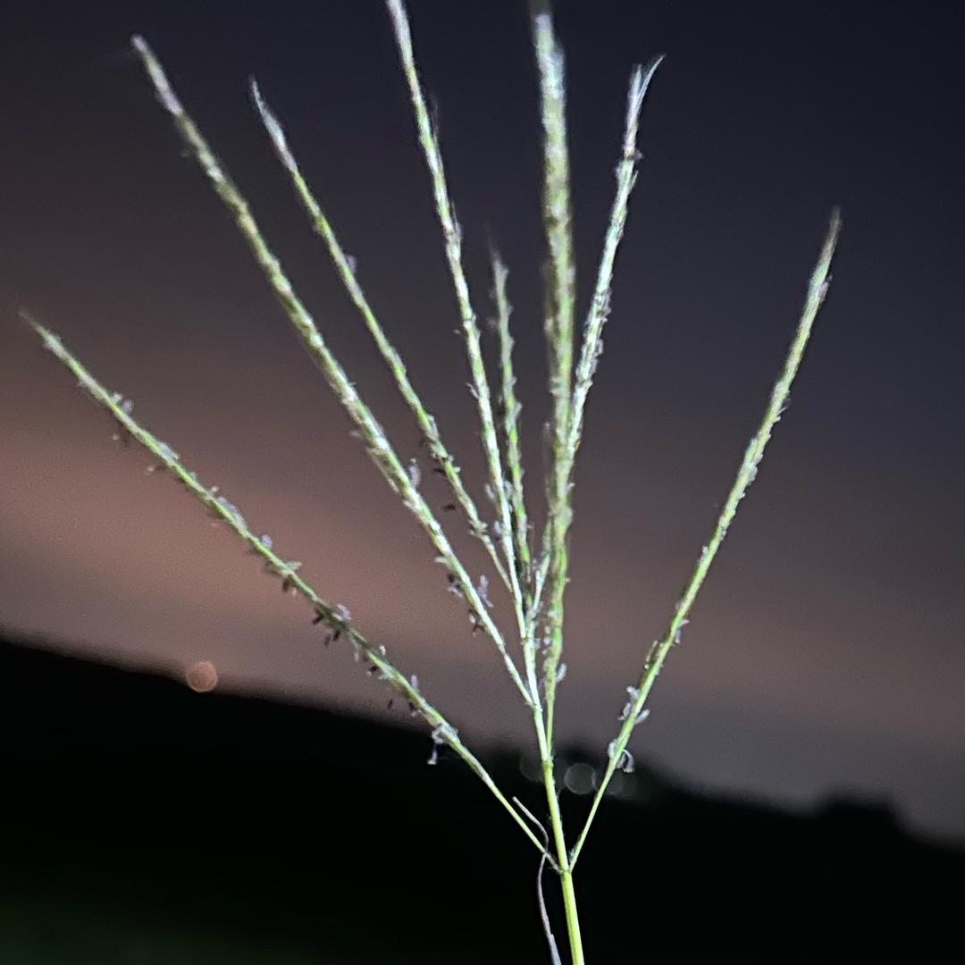 俺的范儿你模仿不起