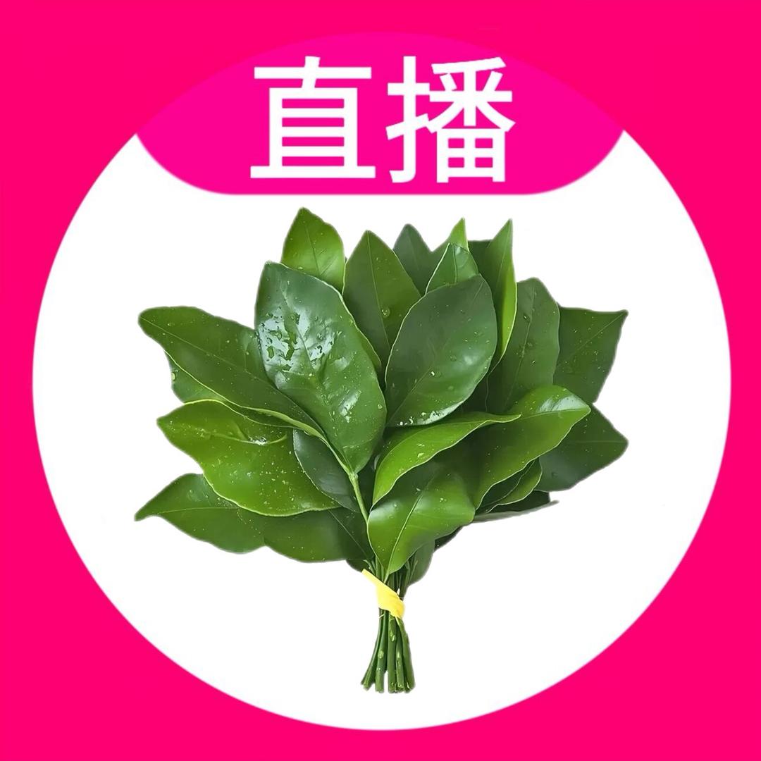 呼噜2.0（好运版）