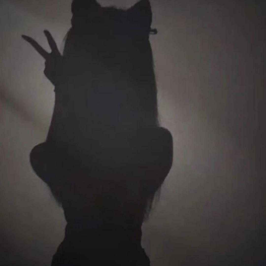 兔老板的咕咚🐰