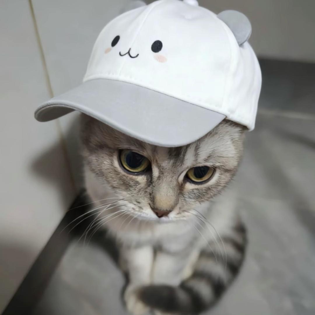 开心的白色被子7349