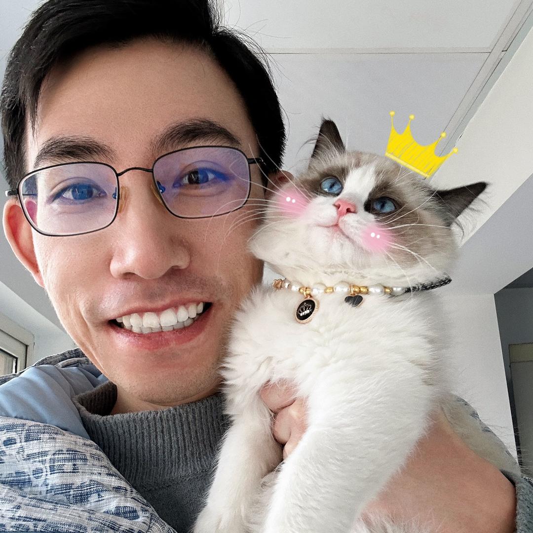金宁的猫语(相亲版)