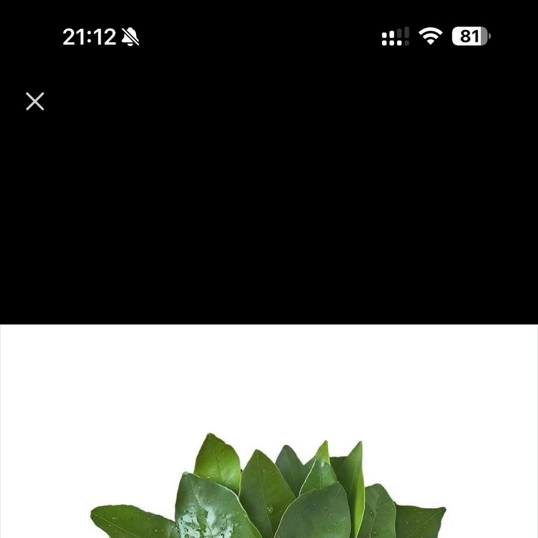凌彤百货