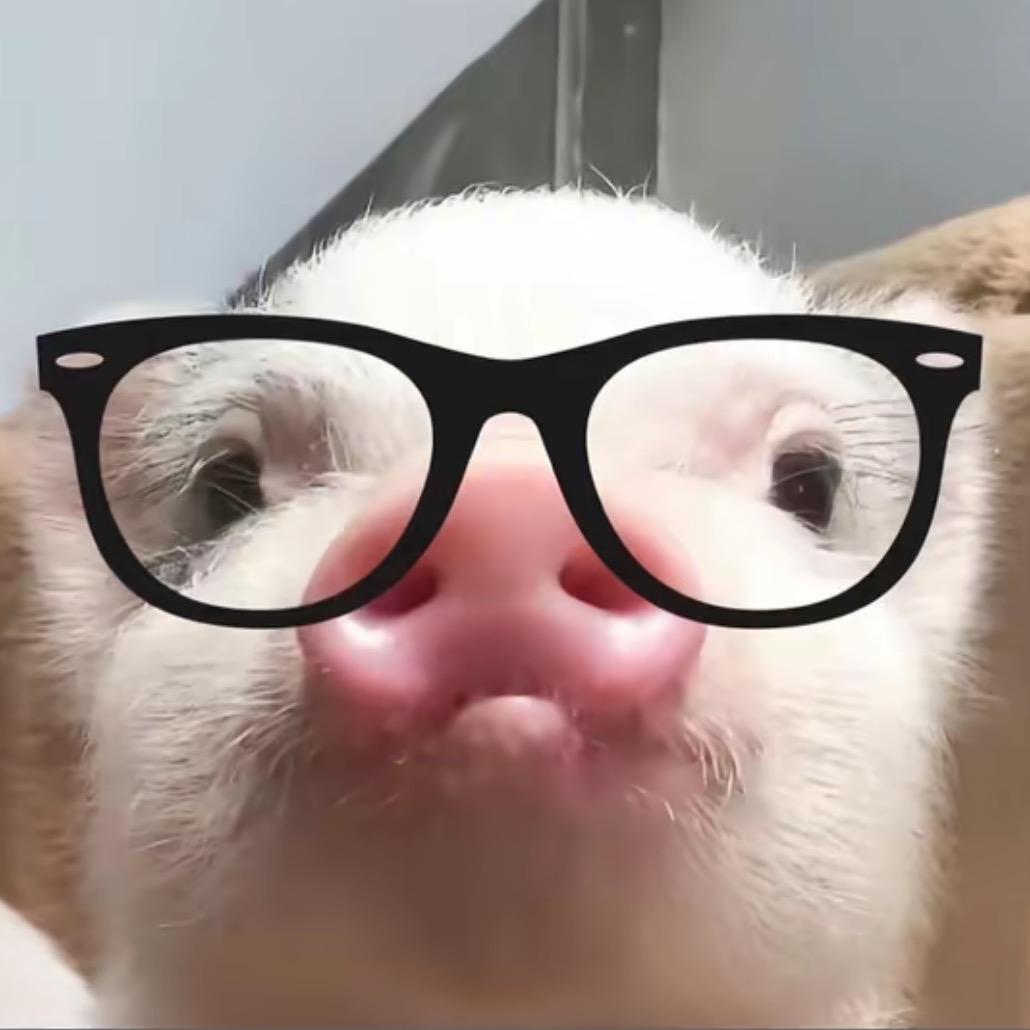 你没有天线我们无法交流