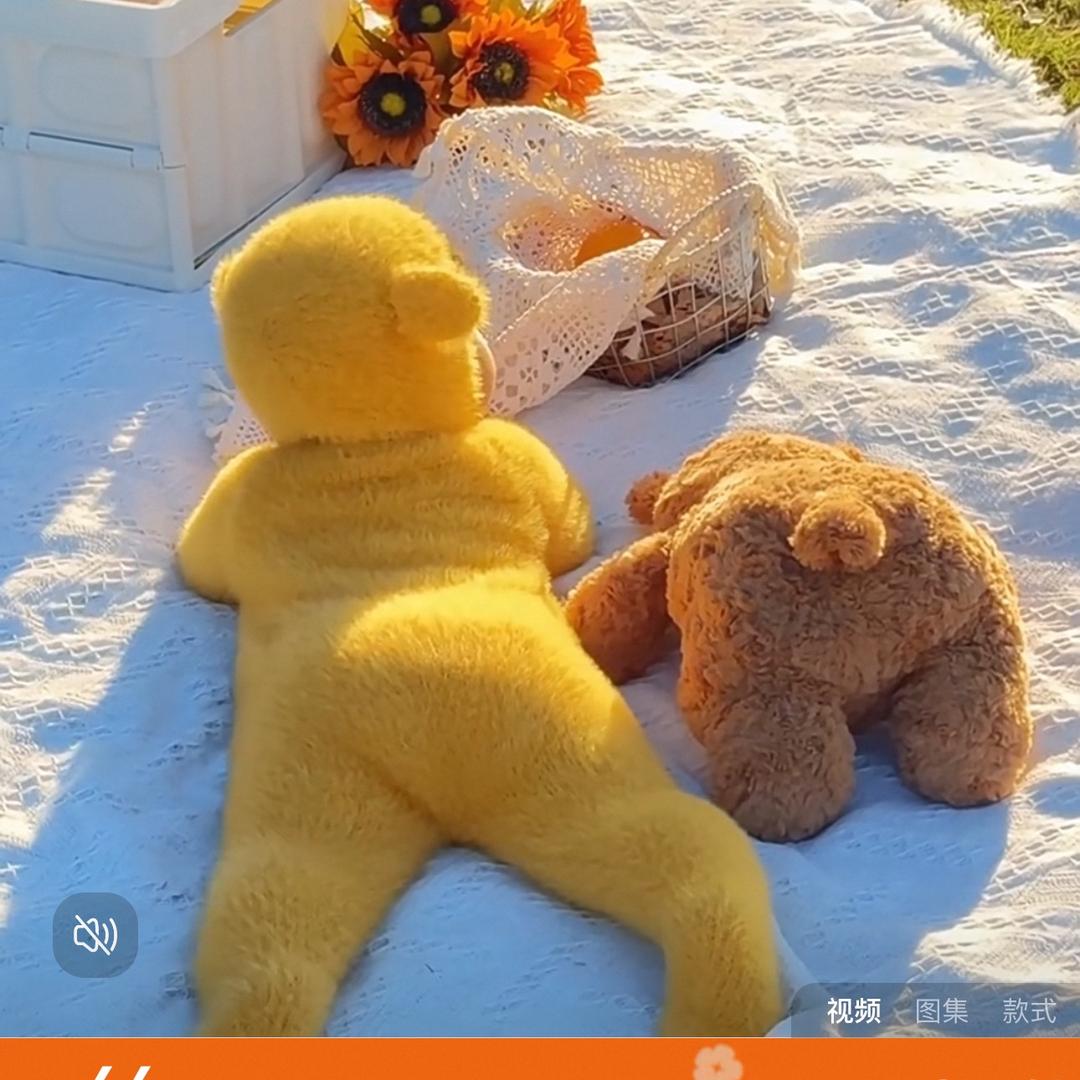 能量石夫人