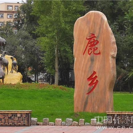 东北鹿城瑾萱