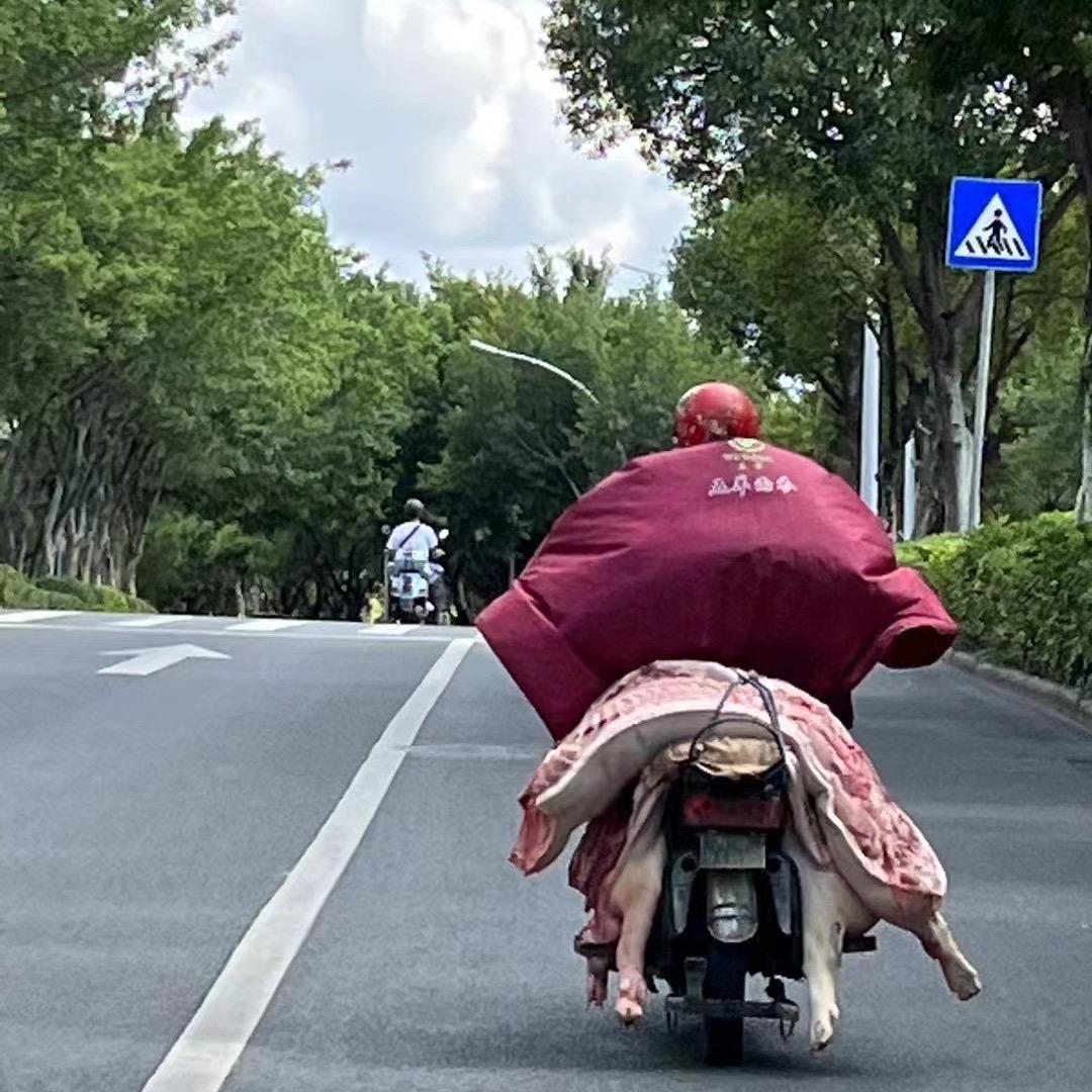 我的智力有问题