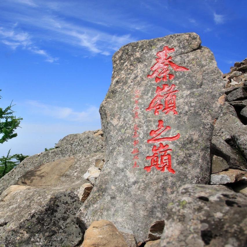 朱雀牛马No.1