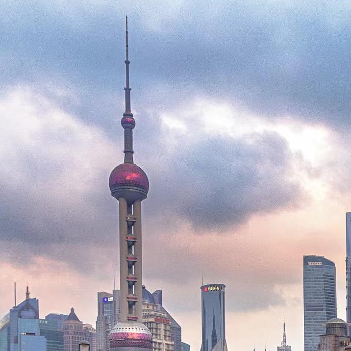 七哥来了