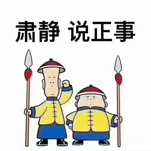 一花一世界