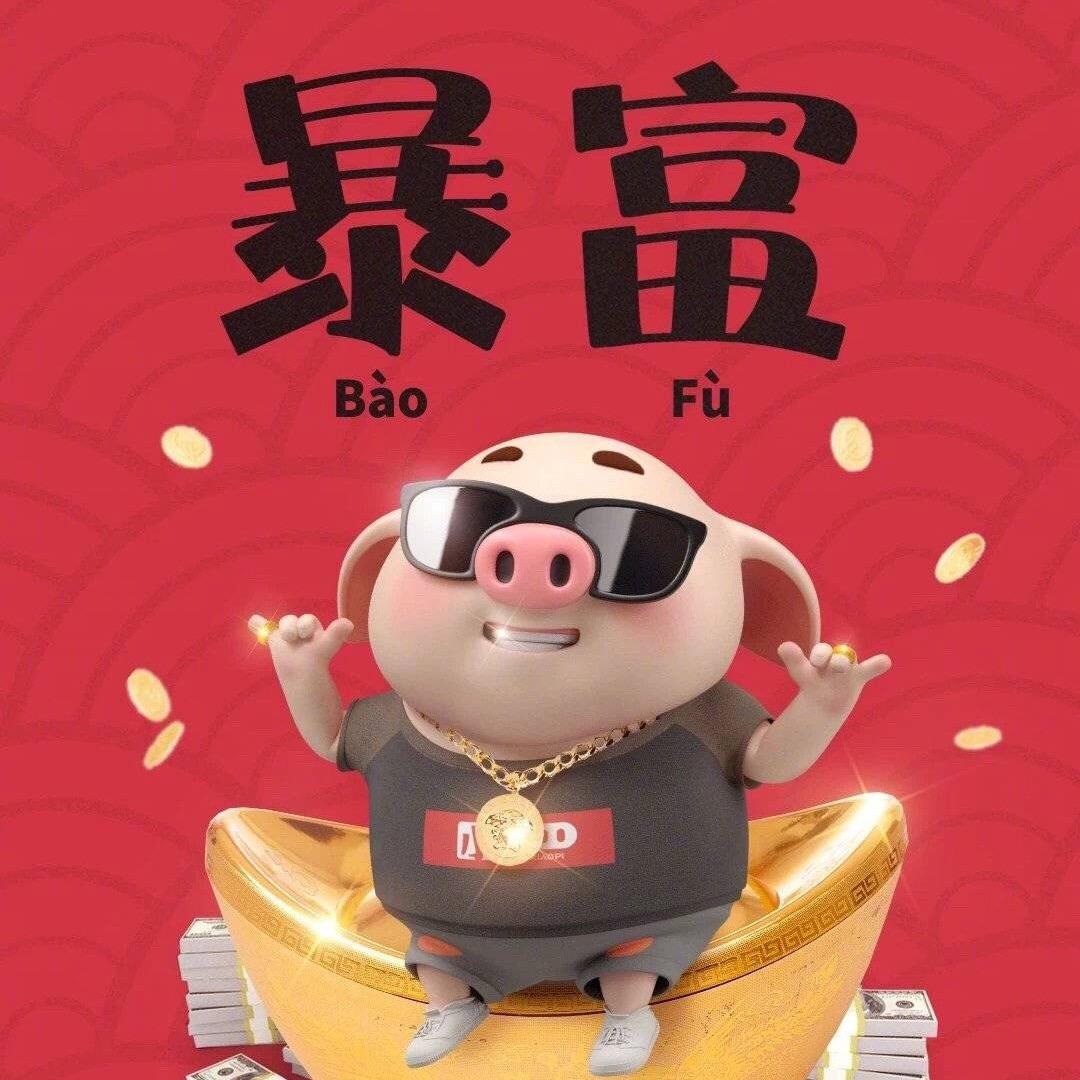 随心所动